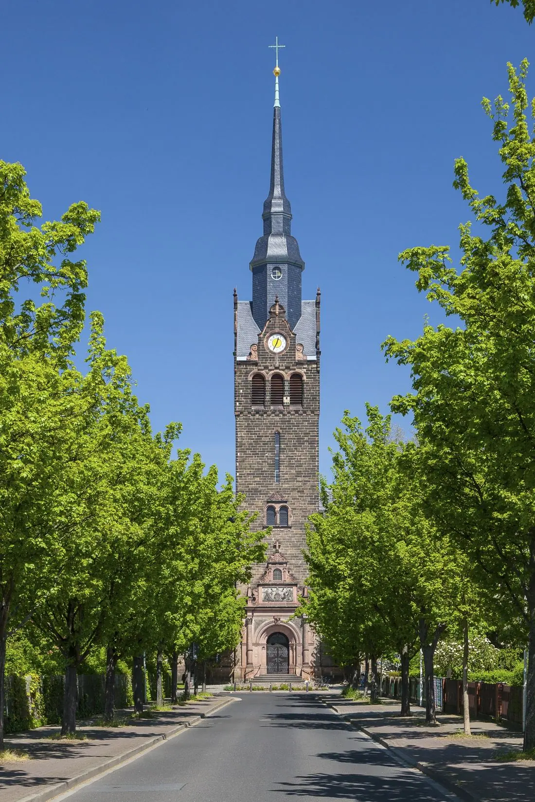 Kirche in Coswig mit Allee