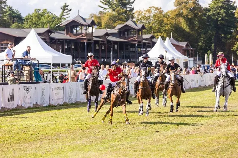 Galopp über das Feld