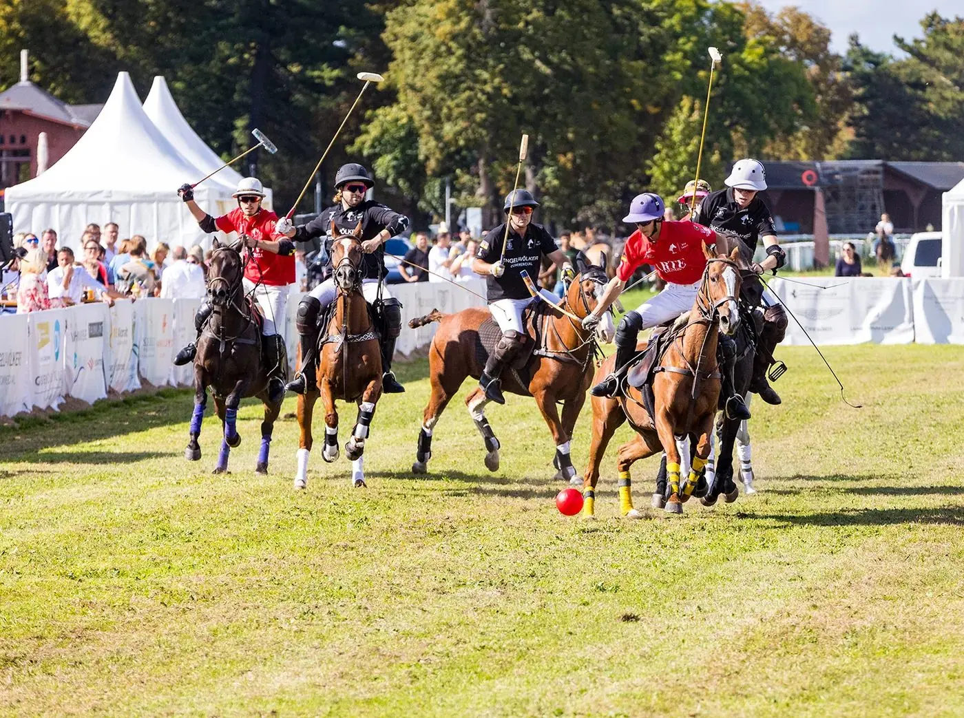 Spielszene beim Dresden Polo